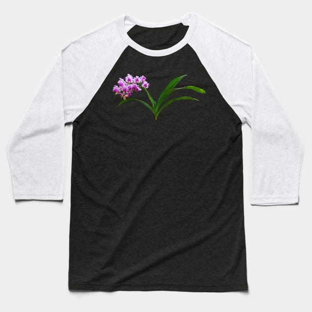 Orchids - Aerides Lawrenciae X Odorata Orchid Baseball T-Shirt by SusanSavad